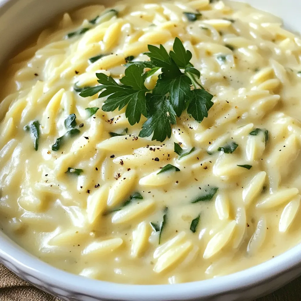 One-Pot Alfredo Orzo Schnelle und köstliche Mahlzeit