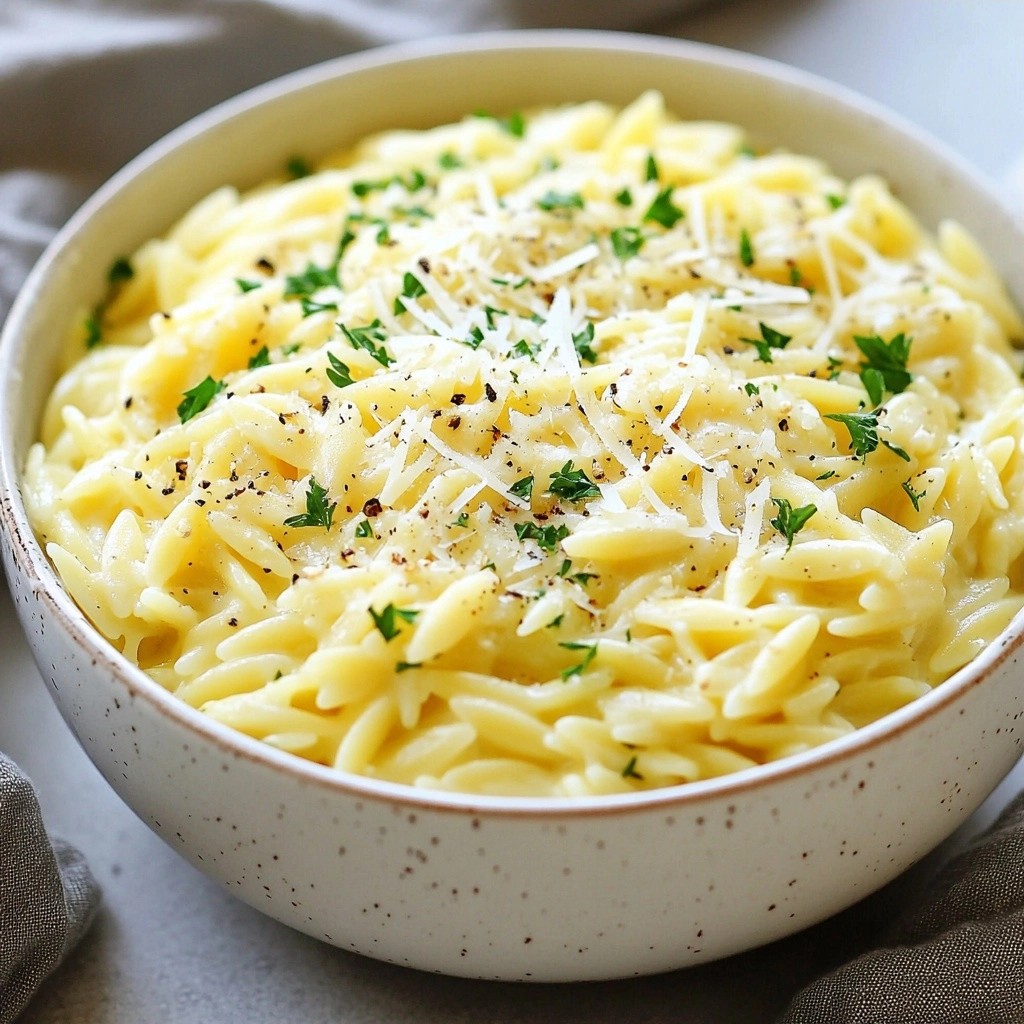Creamy Instant Pot Garlic Parmesan Orzo Einfach Zubereiten